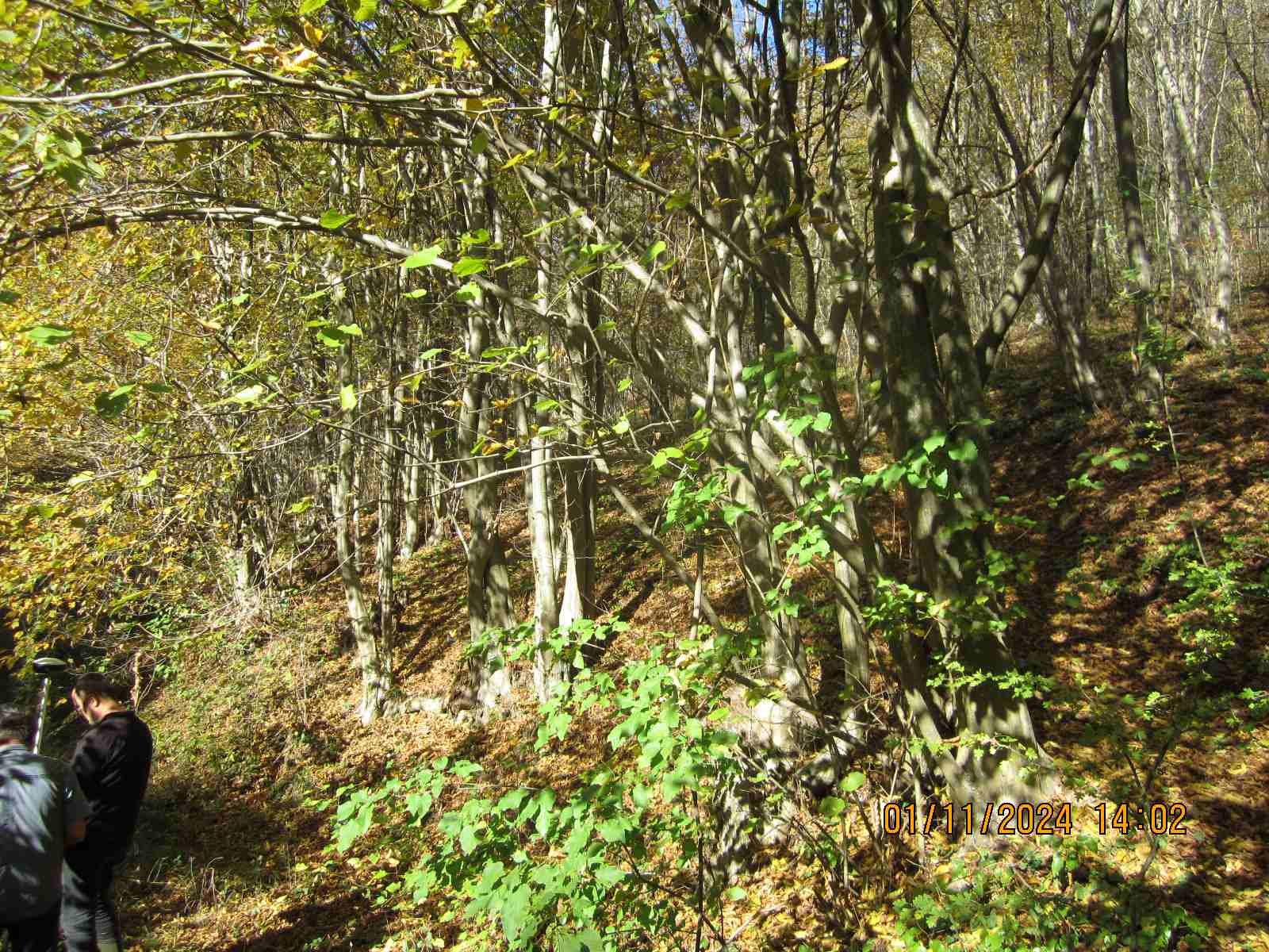 IMG-7da04d4cd4336bf4c83f11dc5aae0b97-V