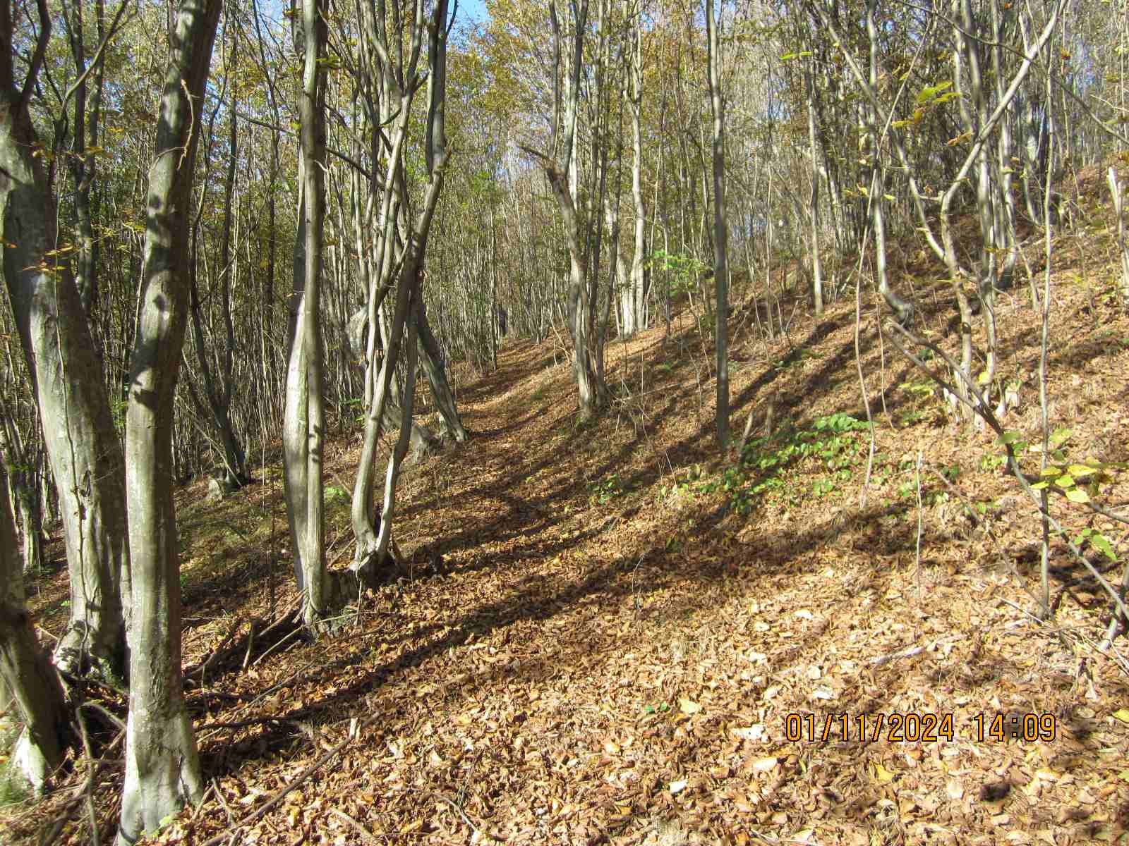 IMG-b54b8ccfcdb651ab6c8aa9431d680cae-V