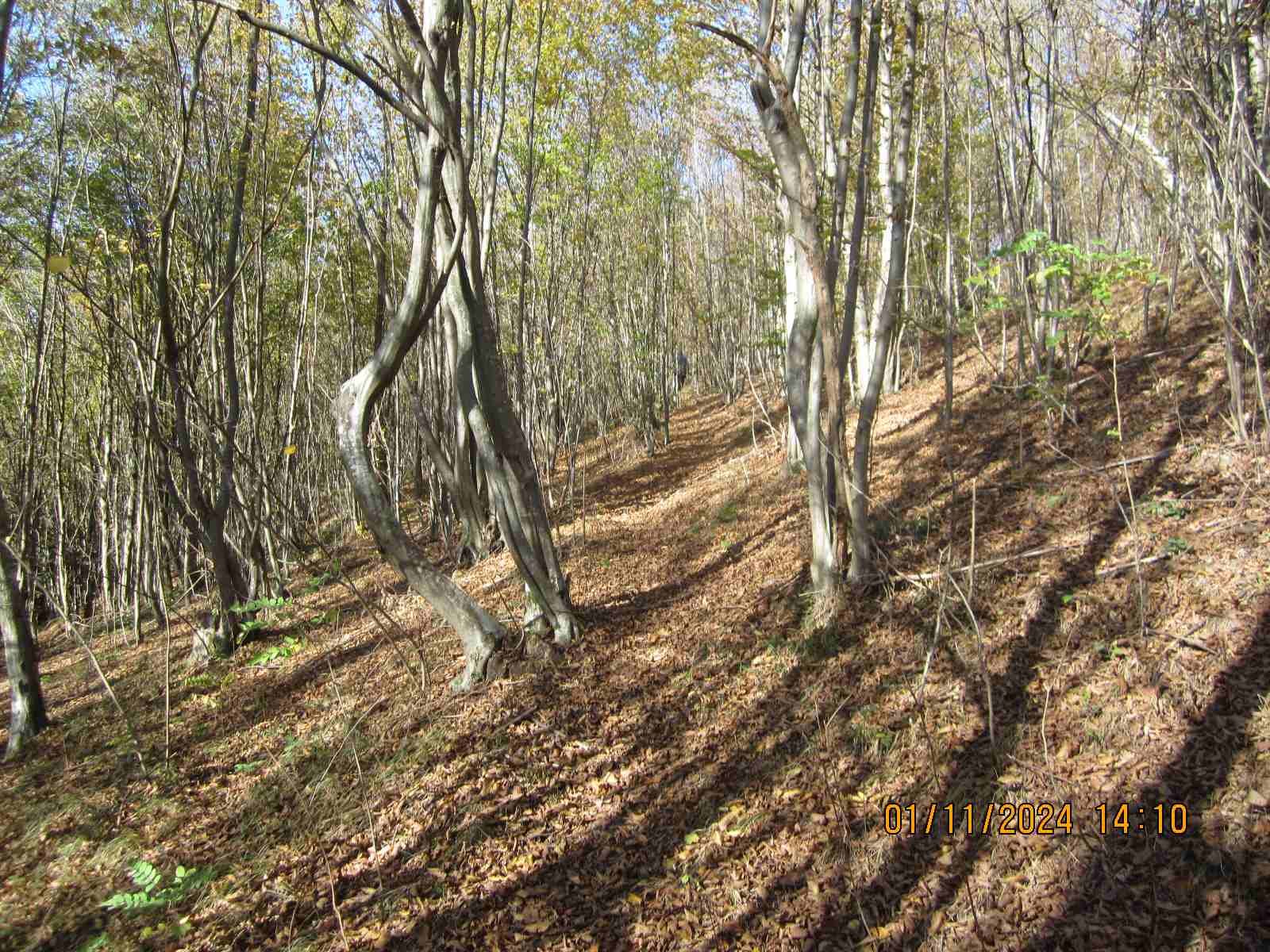 IMG-d50678718d7270af699539e0799f2912-V